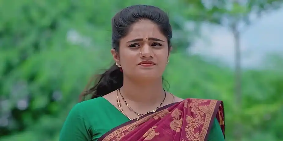 The Villagers of Sankarapalem Express Their Gratitude | Radhamma Kuthuru
