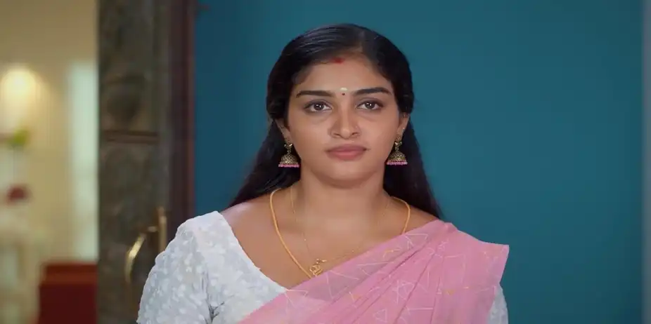 Karthigai Deepam - July 20, 2024 - Episode Spoiler