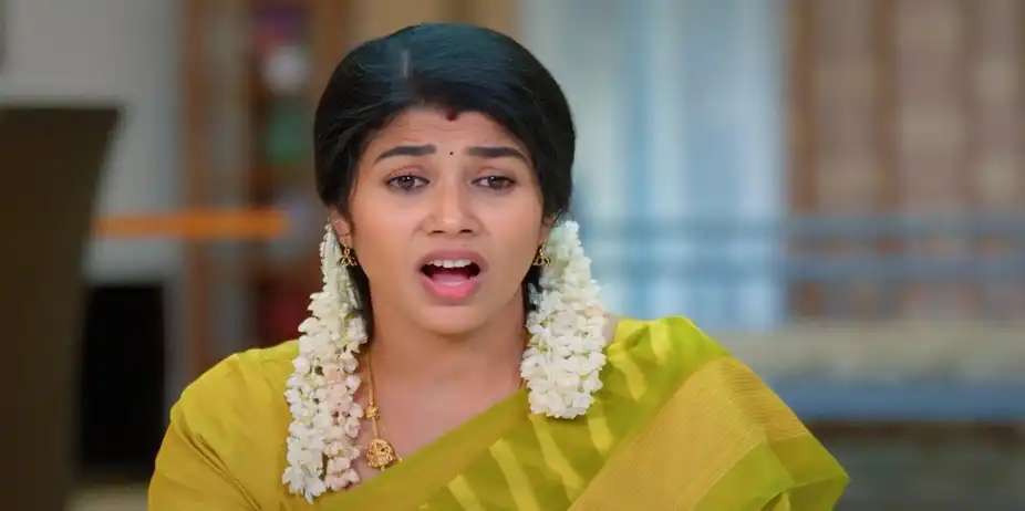 Karthigai Deepam - July 26, 2024 - Episode Spoiler