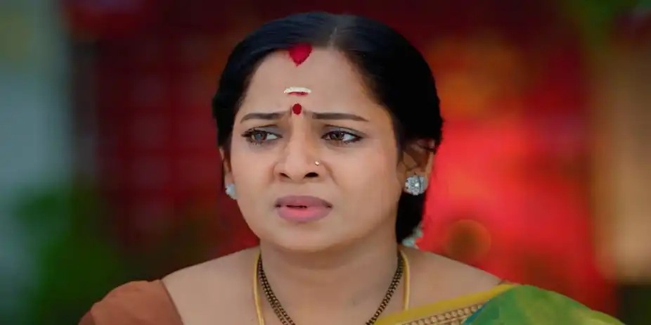 Karthigai Deepam - July 25, 2024 - Episode Spoiler