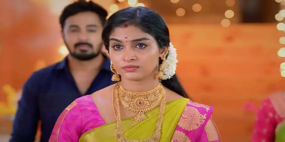 Karthigai Deepam - July 24, 2024 - Episode Spoiler