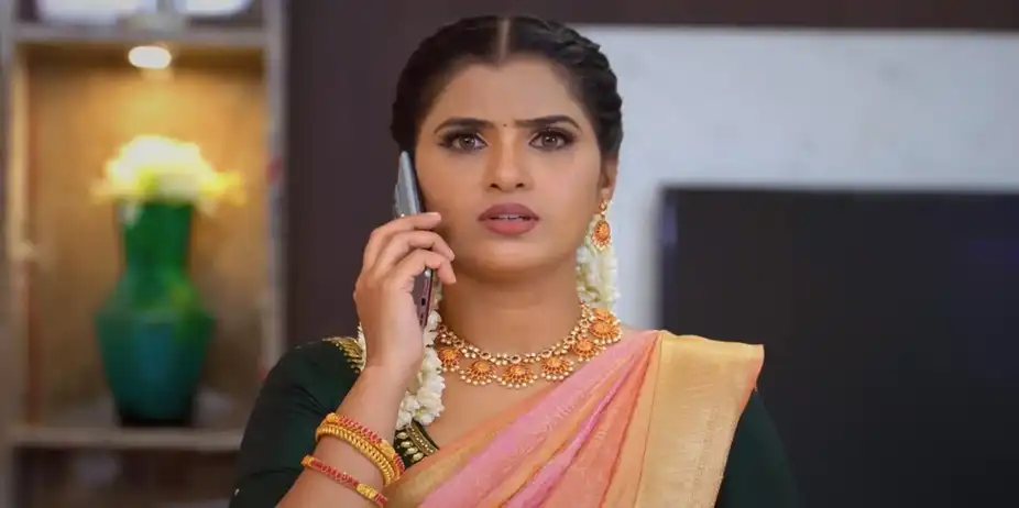 Karthigai Deepam - July 27, 2024 - Episode Spoiler
