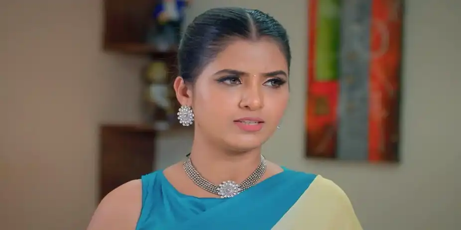 Karthigai Deepam - July 28, 2024 - Episode Spoiler