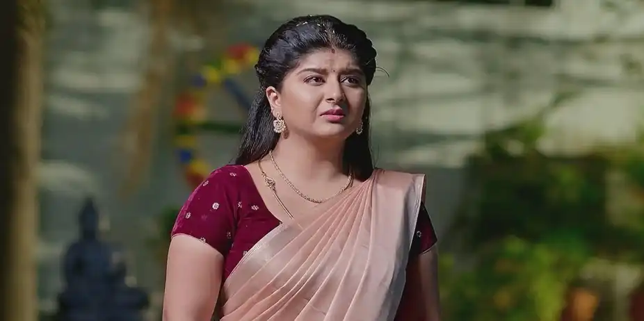 Vaidehi Parinaya - July 30, 2024 - Best Scene