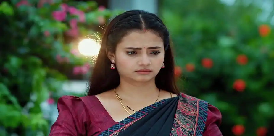 Maa Annayya - August 05, 2024 - Episode Spoiler
