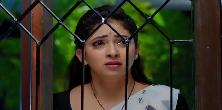 Nindu Noorella Saavasam - 31 July, 2024