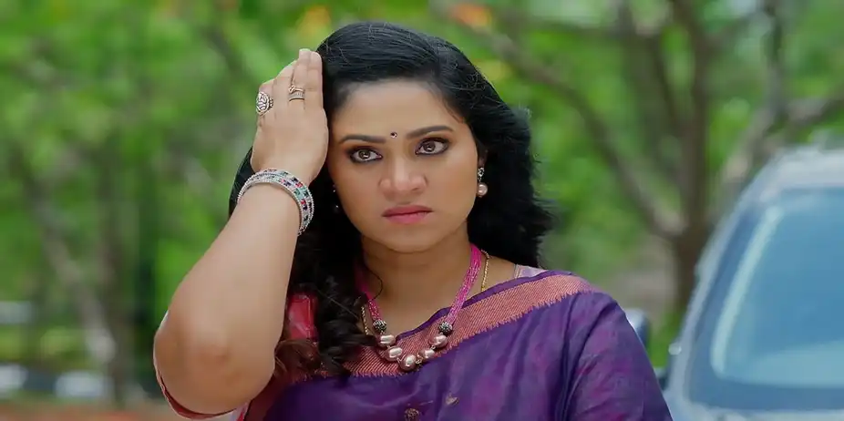 Meghasandesam - July 31, 2024 - Episode Spoiler