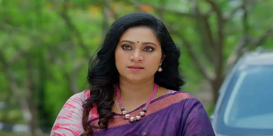 Meghasandesam - August 01, 2024 - Episode Spoiler