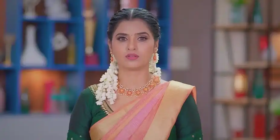 Karthigai Deepam - July 31, 2024 - Best Scene