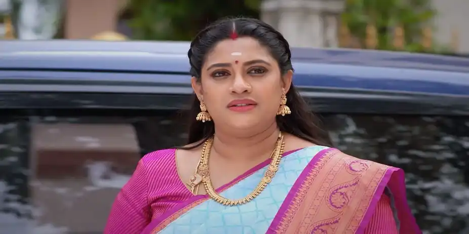 Karthigai Deepam - July 31, 2024 - Episode Spoiler