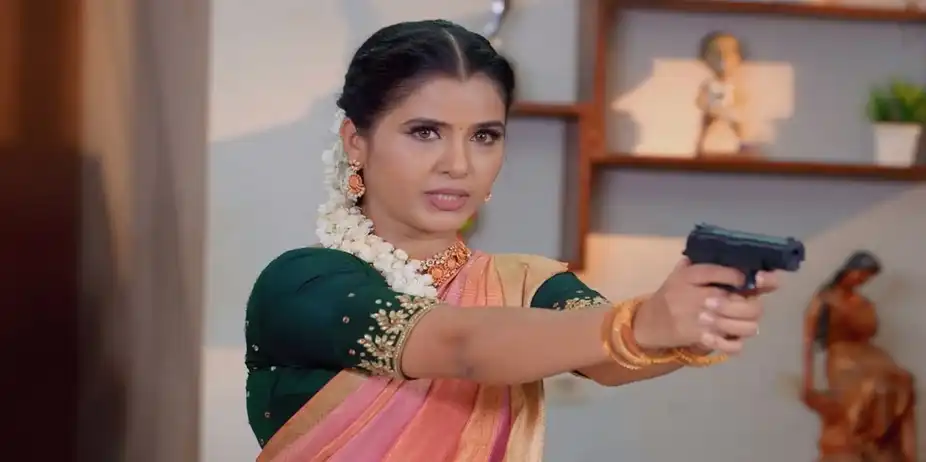 Karthigai Deepam - August 02, 2024 - Episode Spoiler