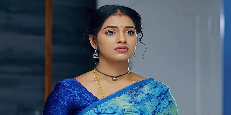 Jabilli Kosam Aakashamalle - August 08, 2024 - Episode Spoiler