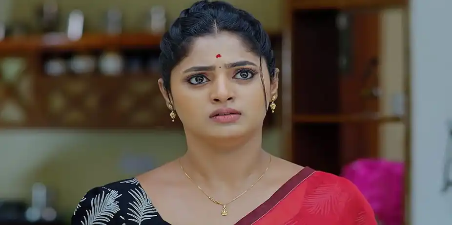 Janaki Ramayya Gari Manavaralu - August 10, 2024 - Episode Spoiler