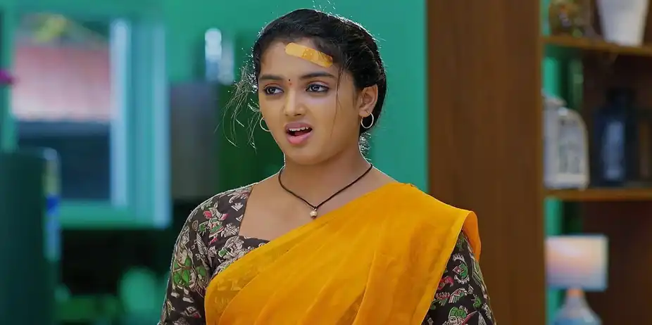 Meghasandesam - August 12, 2024 - Episode Spoiler