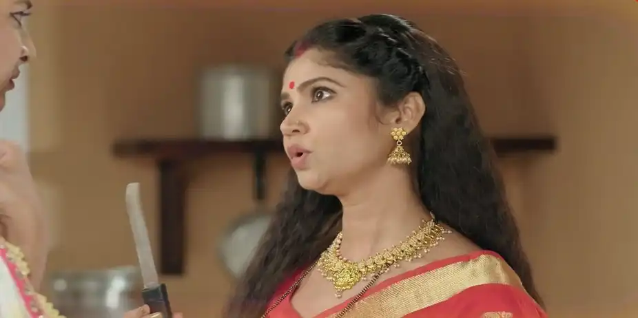Santoshi Maaer Bratakatha - 09 August, 2024