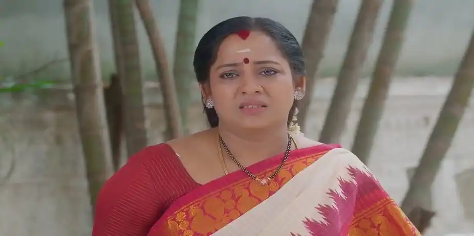 Dharmalingam Pacifies Janaki | Karthigai Deepam