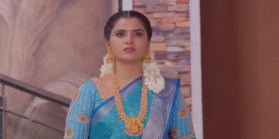 Ramesh's Visit Irks Ramya | Karthigai Deepam