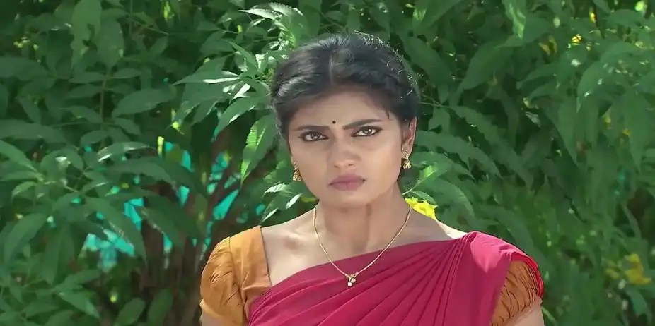 Bhadravathi and Parnika Lash out at Punya | Naagamandala