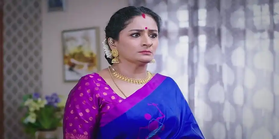 Vijaya Feels Frustrated | Shravani Subramanya
