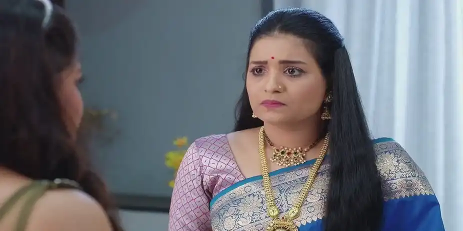 Saraswati Expresses Her Frustration to Durga | Navri Mile Hitlerla