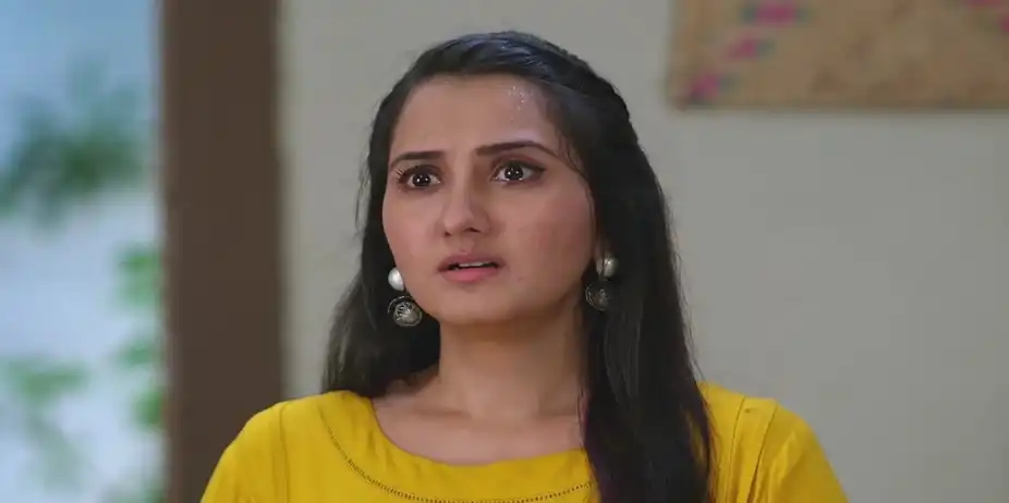 Meghna Is Delighted to See Raghunath's Condition | Sara Kahi Tichyasathi