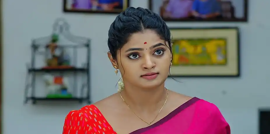 Janaki Ramayya Gari Manavaralu - August 14, 2024 - Episode Spoiler
