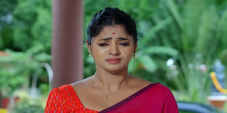 Janaki Ramayya Gari Manavaralu - August 17, 2024 - Episode Spoiler