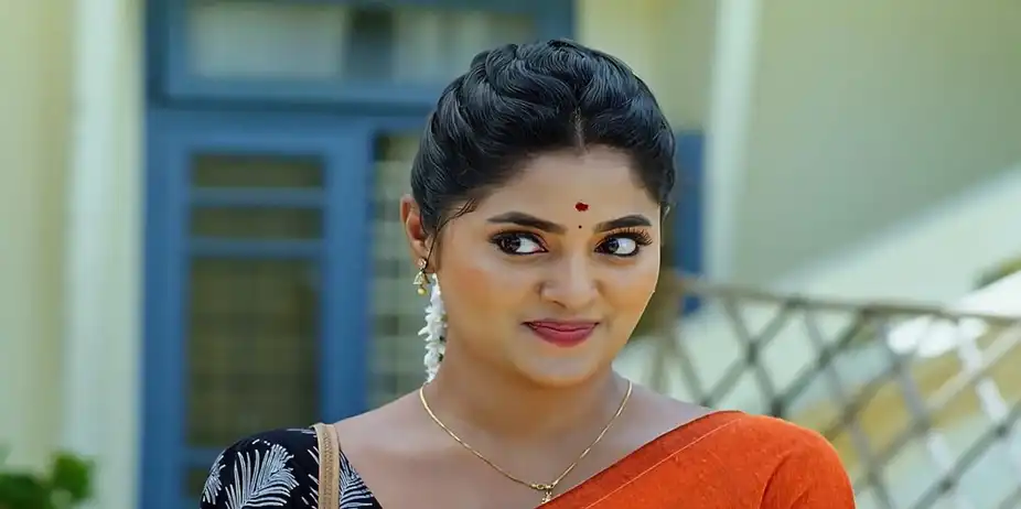 Janaki Ramayya Gari Manavaralu - August 19, 2024 - Episode Spoiler