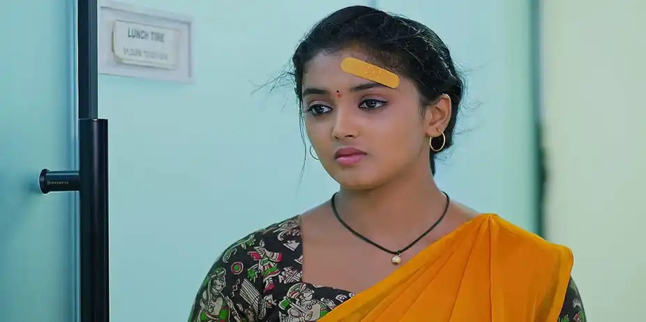 Meghasandesam - August 13, 2024 - Episode Spoiler