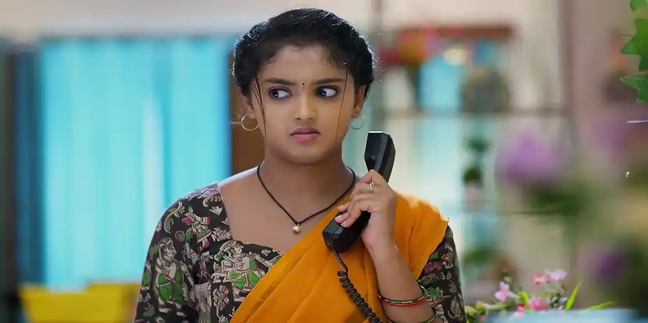 Meghasandesam - August 19, 2024 - Episode Spoiler