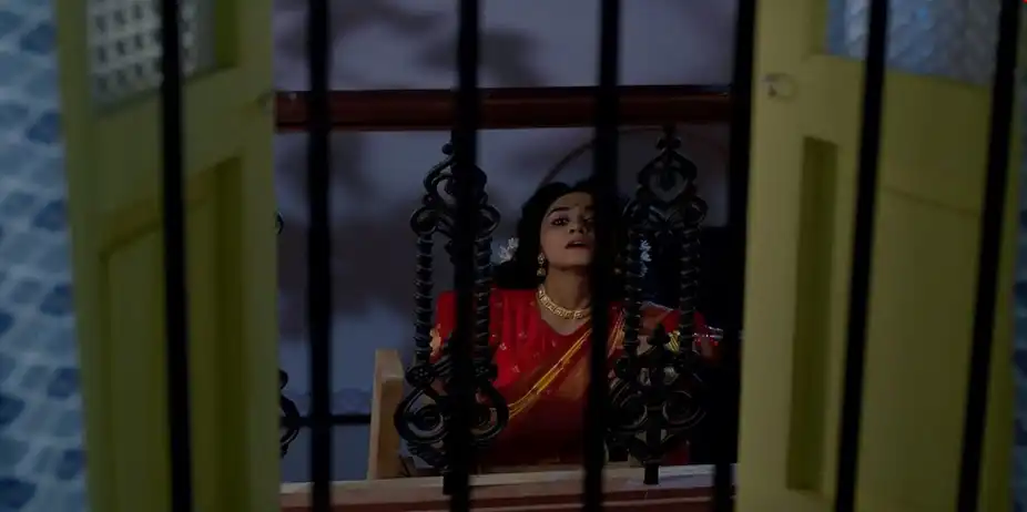 Puber Moyna - August 17, 2024 - Episode Spoiler