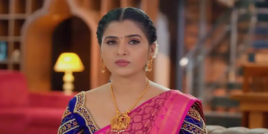 Karthigai Deepam - August 14, 2024 - Episode Spoiler