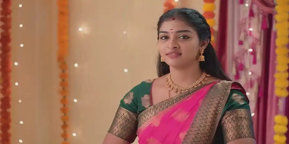Karthigai Deepam - August 17, 2024 - Best Scene