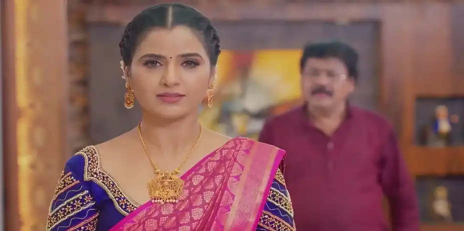 Karthigai Deepam - August 14, 2024 - Best Scene