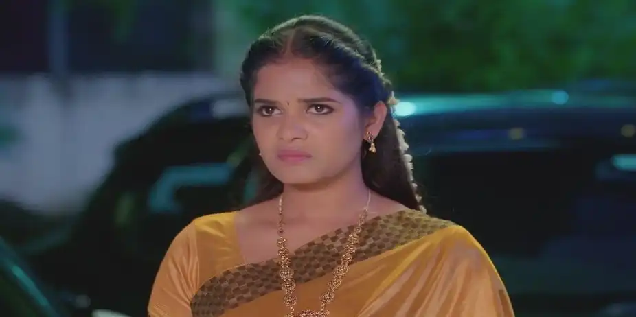 Karthigai Deepam - August 16, 2024 - Best Scene