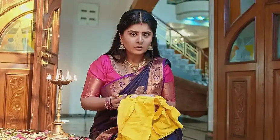 Vaidehi Parinaya - August 20, 2024 - Best Scene