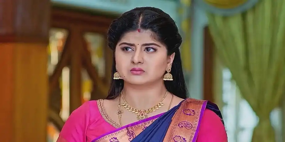 Vaidehi Parinaya - August 22, 2024 - Best Scene