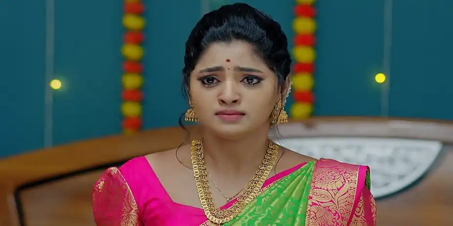 Janaki Ramayya Gari Manavaralu - August 23, 2024 - Episode Spoiler