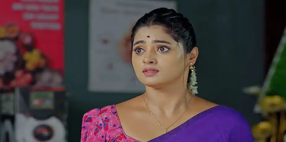 Janaki Ramayya Gari Manavaralu - August 22, 2024 - Episode Spoiler