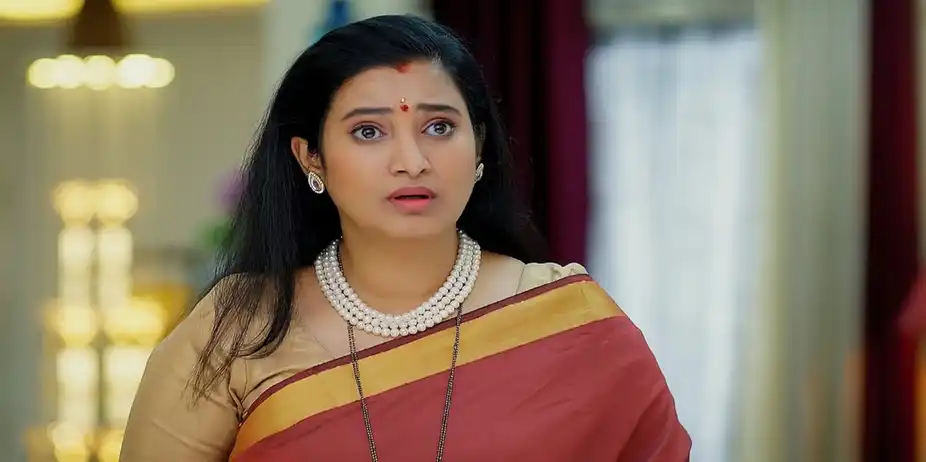 Meghasandesam - August 23, 2024 - Episode Spoiler