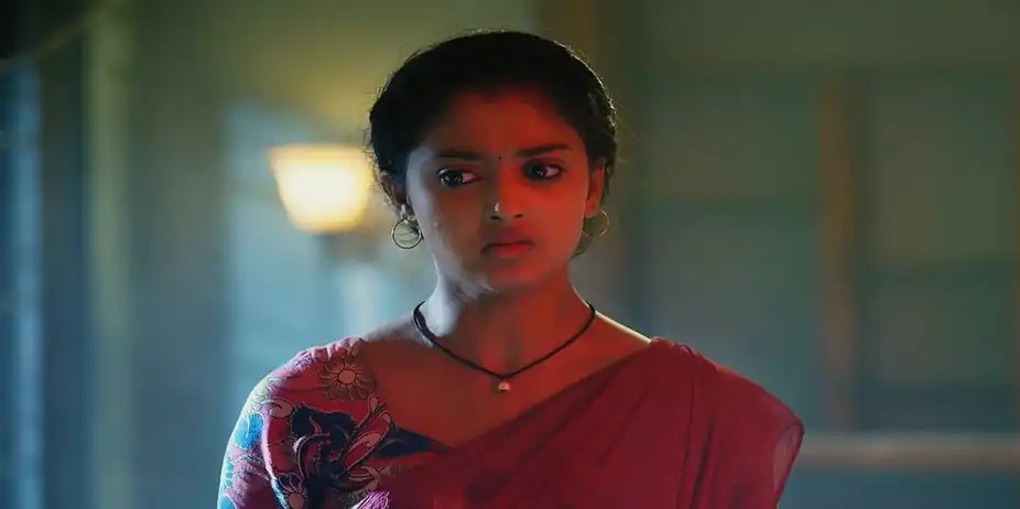 Meghasandesam - August 25, 2024 - Episode Spoiler