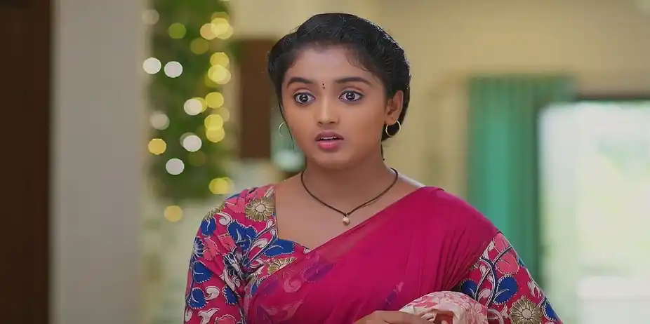 Meghasandesam - August 19, 2024 - Best Scene