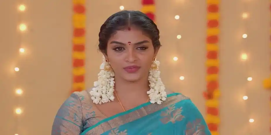 Karthigai Deepam - August 25, 2024 - Best Scene