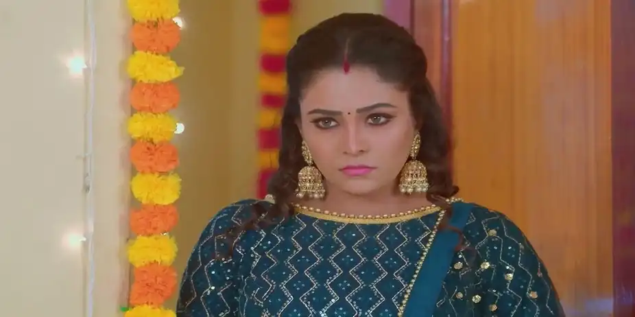 Karthigai Deepam - August 23, 2024 - Best Scene