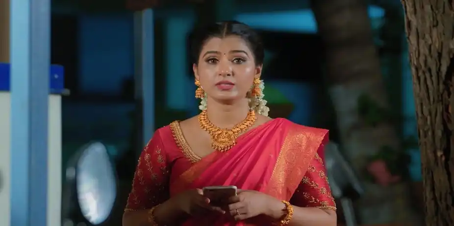 Karthigai Deepam - August 20, 2024 - Episode Spoiler