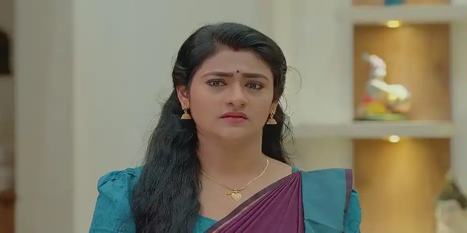 Vasundhara Talks to the Family | Shyamambaram