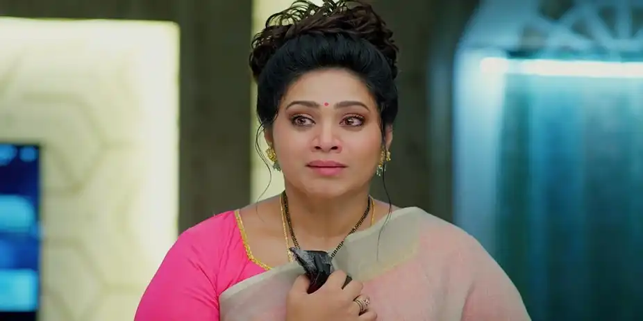 Meghasandesam - August 28, 2024 - Episode Spoiler