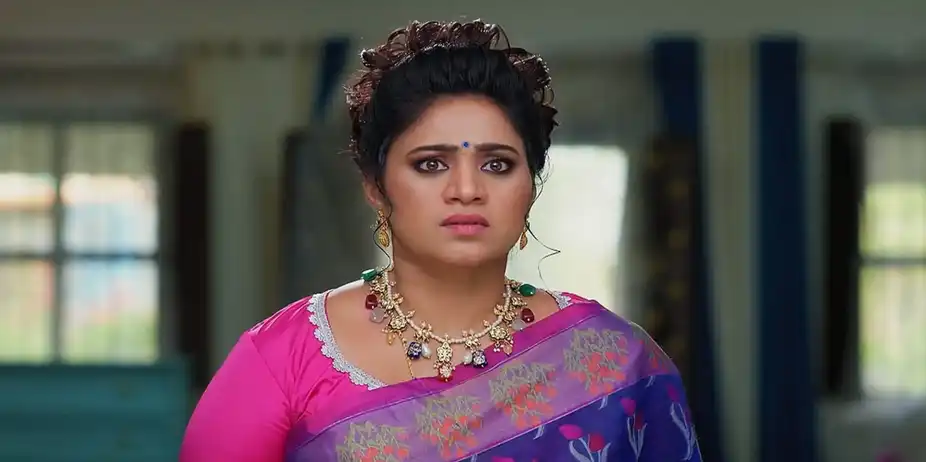 Meghasandesam - September 01, 2024 - Episode Spoiler