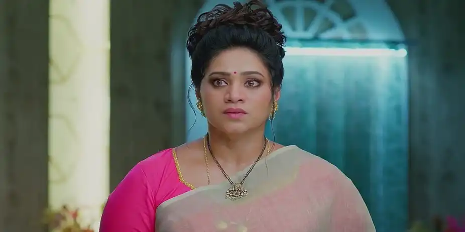 Meghasandesam - August 27, 2024 - Best Scene