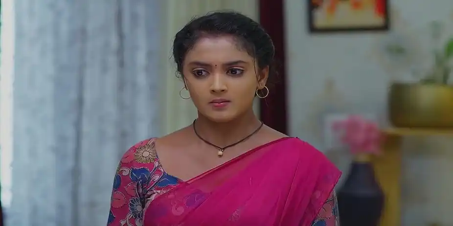 Meghasandesam - August 31, 2024 - Best Scene